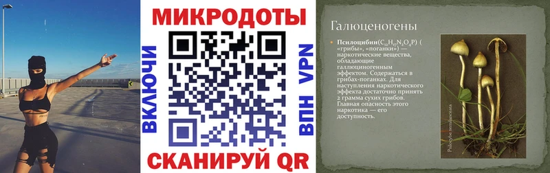 Псилоцибиновые грибы GOLDEN TEACHER  Суздаль 
